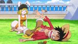 onepiecemovil